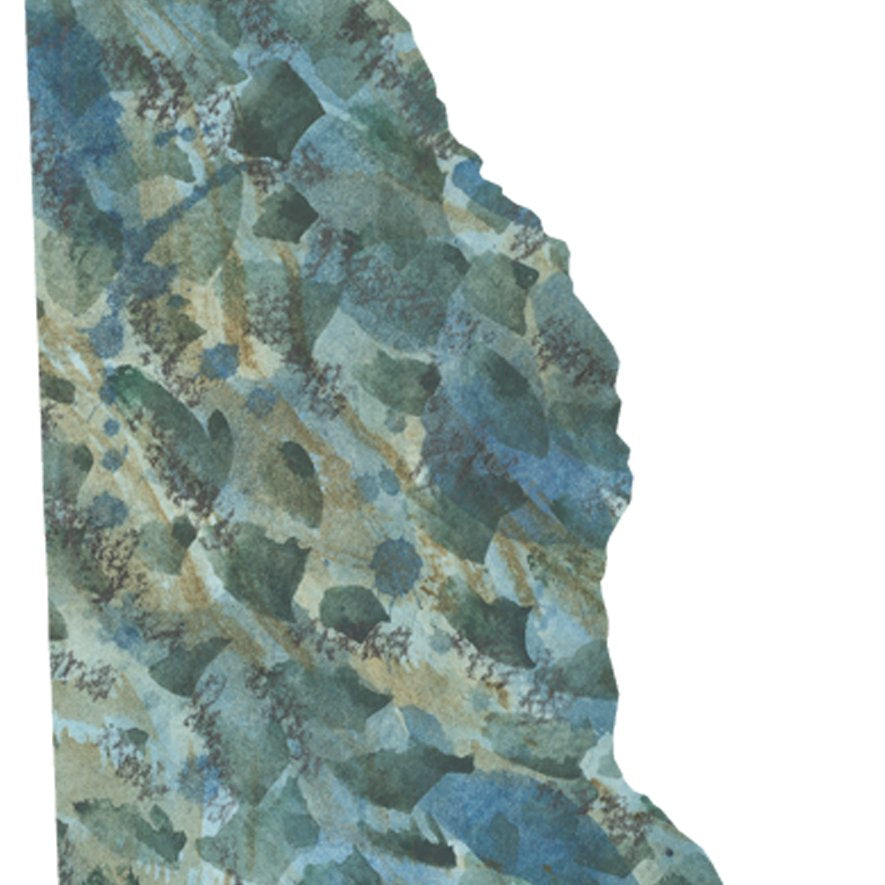 DELAWARE State Map: PRINT