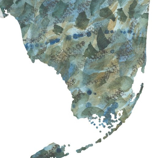 FLORIDA State Map: PRINT