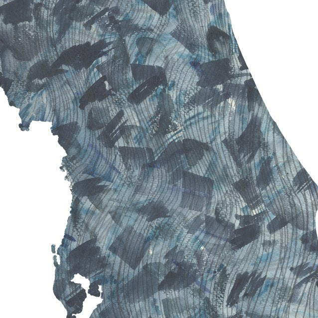 FLORIDA State Map: PRINT