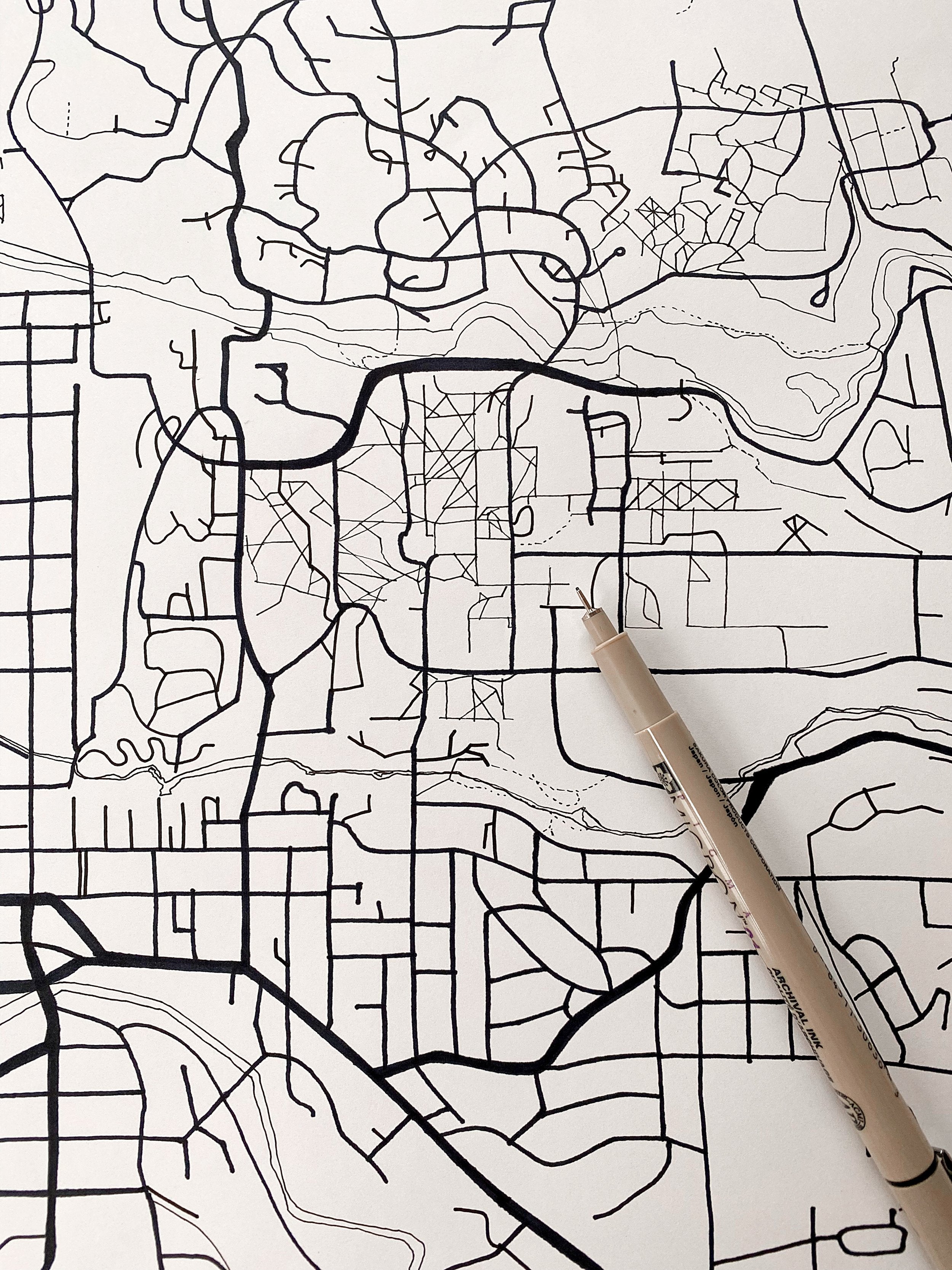 ITHACA Topo City Lines Map: PRINT