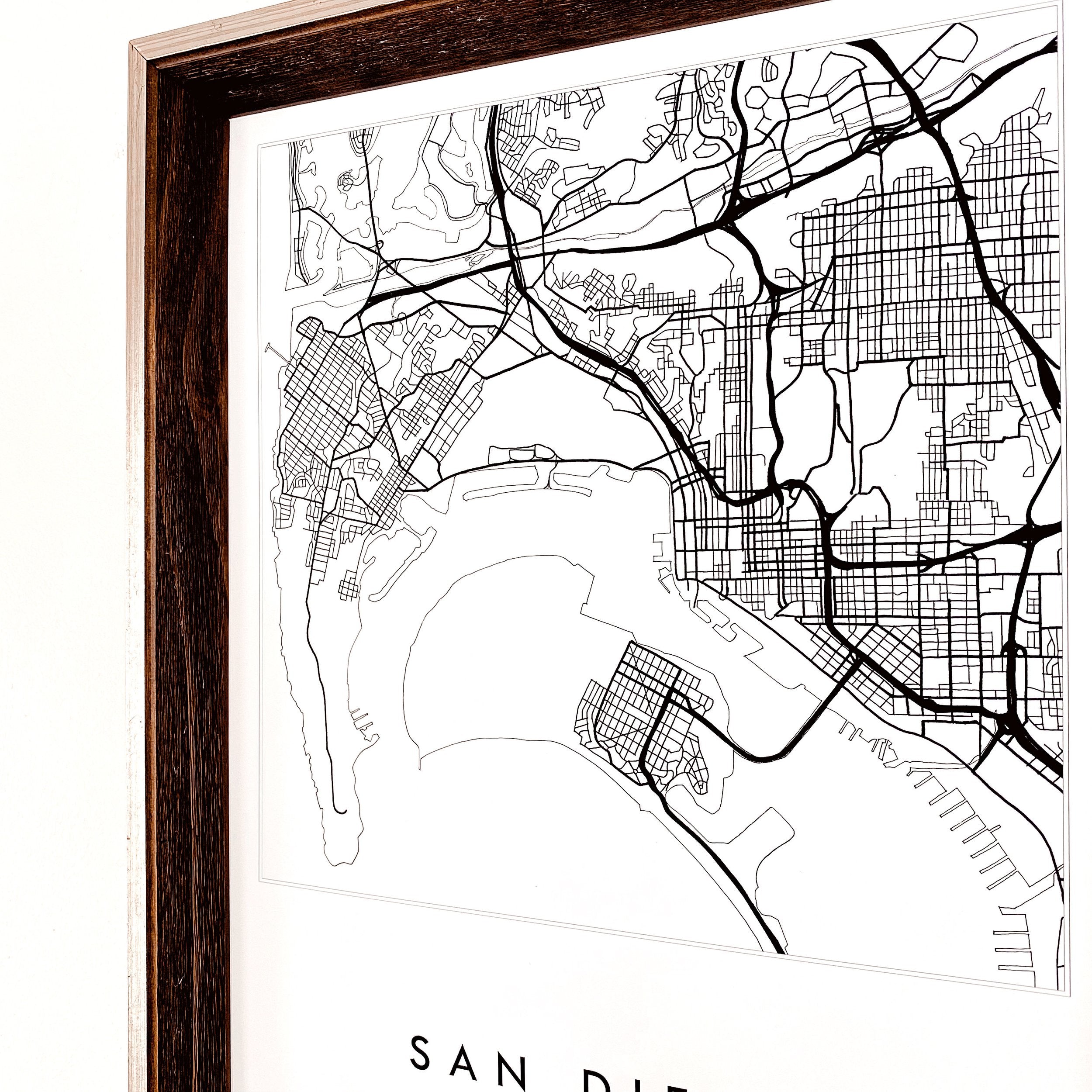 SAN DIEGO City Lines Map: PRINT