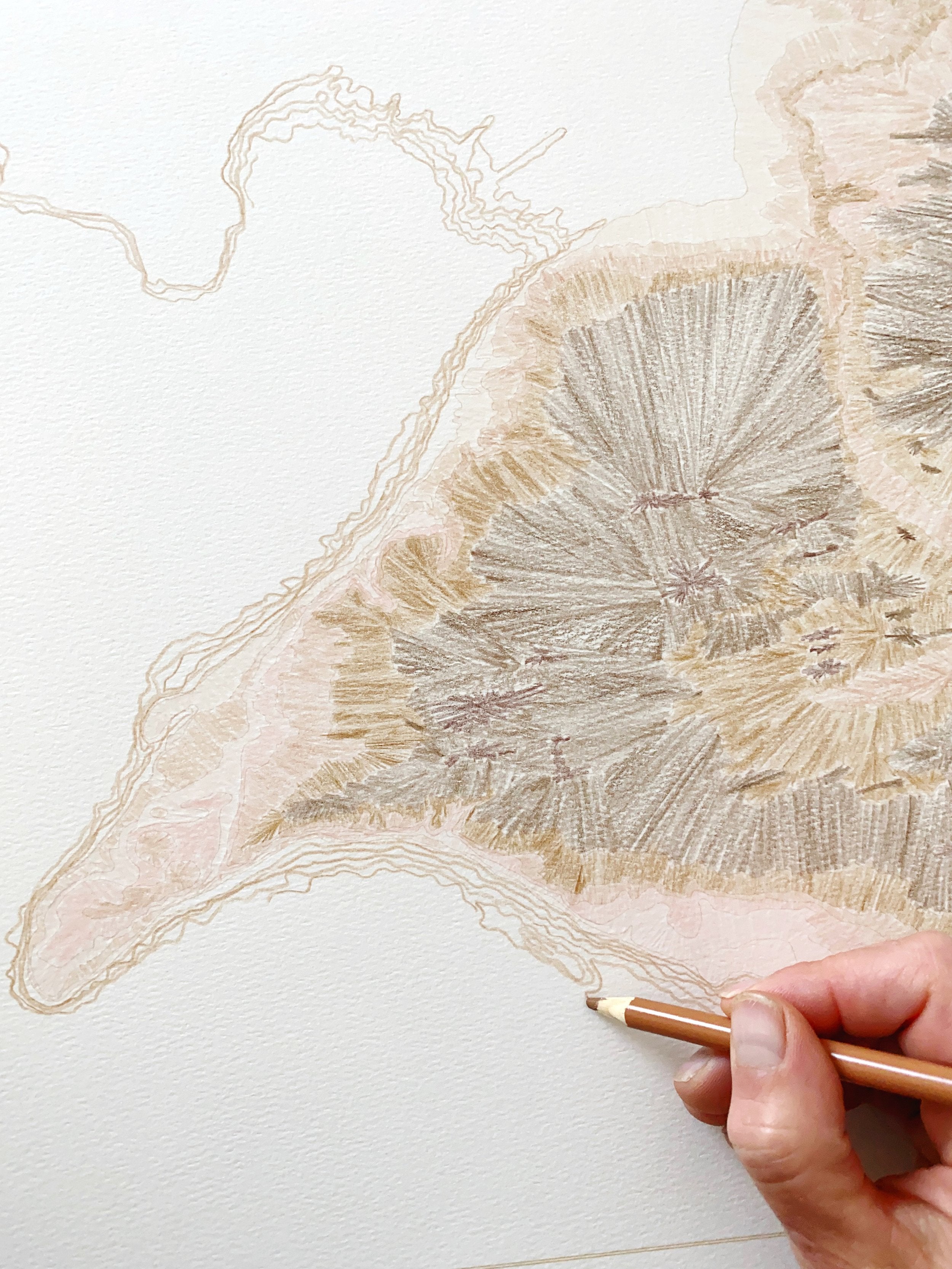 TACOMA TONES Washington Topographic Map-drawing: PRINT