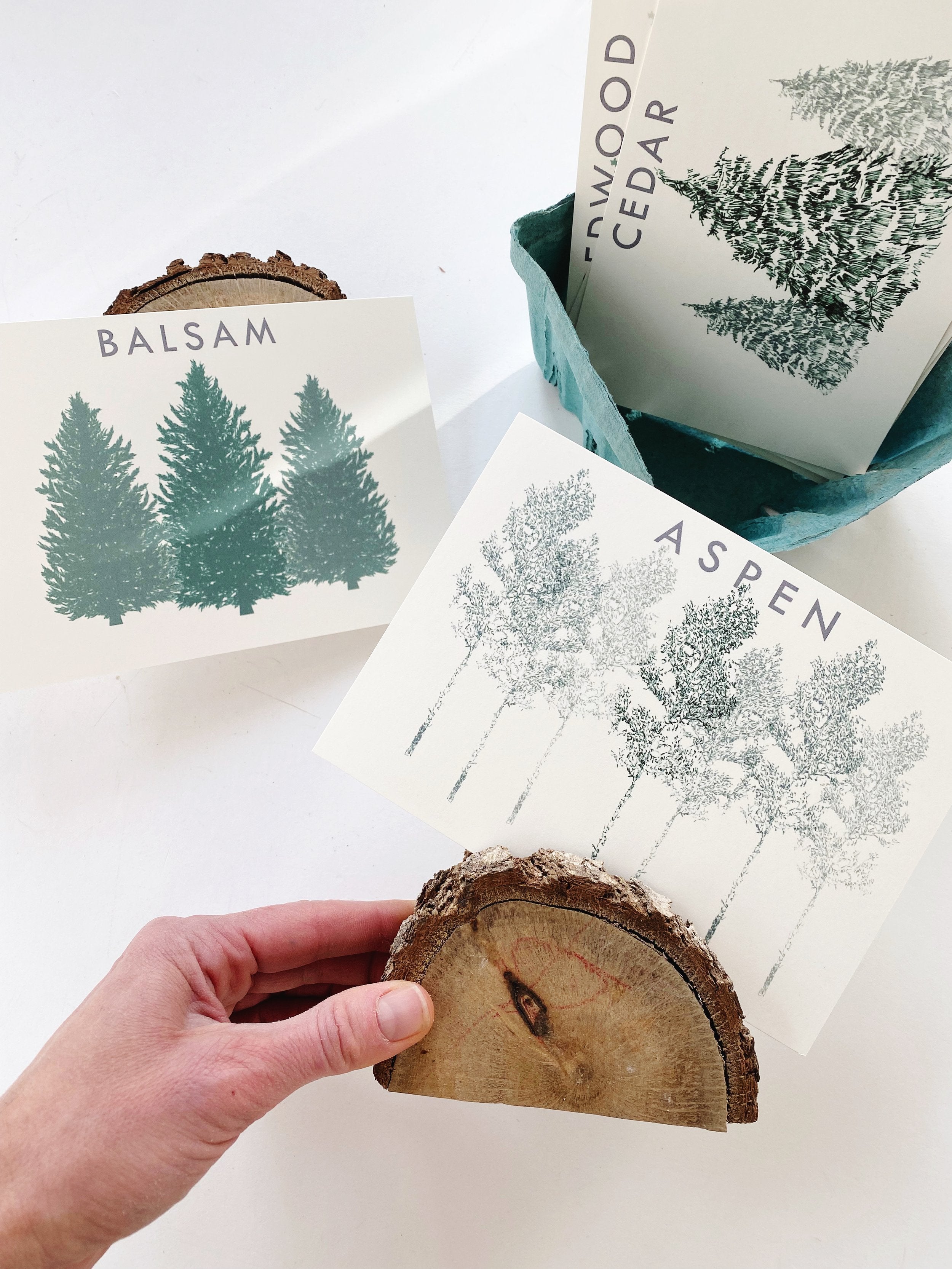 redwood tree rubber stamp Wedding Table Cards: TREES — Turn-of-the-Centuries
