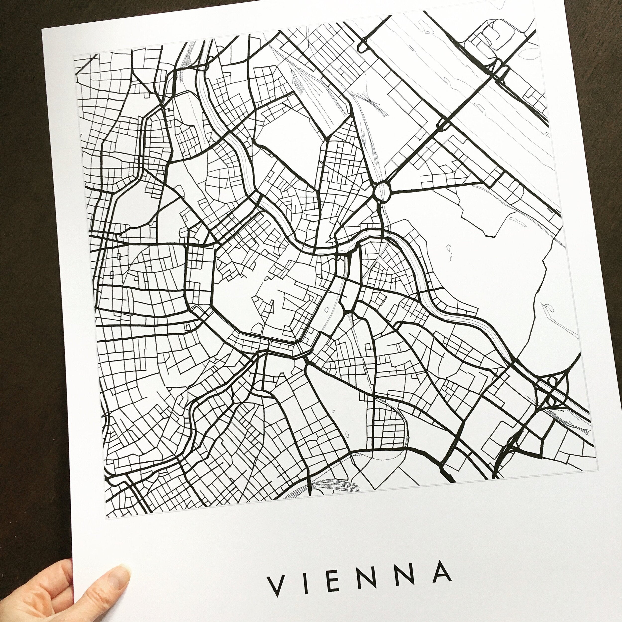 VIENNA City Lines Map: PRINT